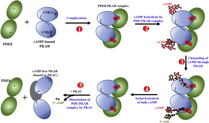 Figure 9