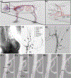 Fig. 6.