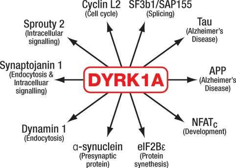 Figure 2.