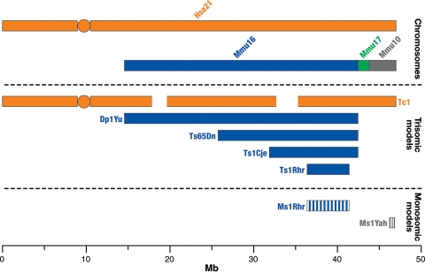 Figure 1.