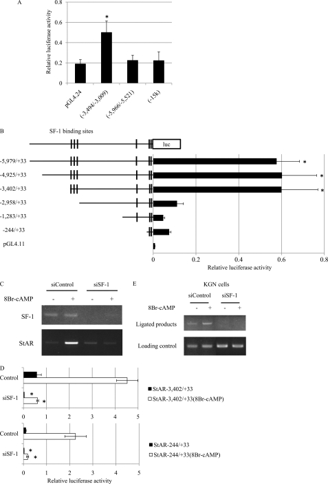 FIGURE 4.