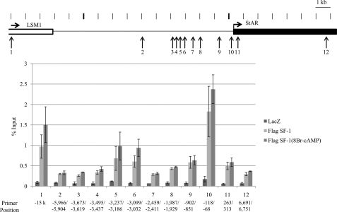 FIGURE 1.