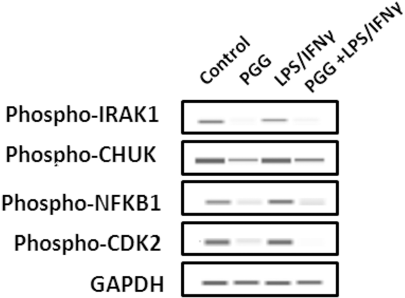 Figure 5: