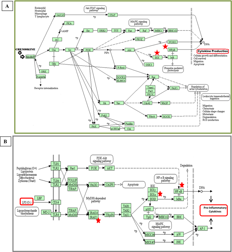 Figure 7: