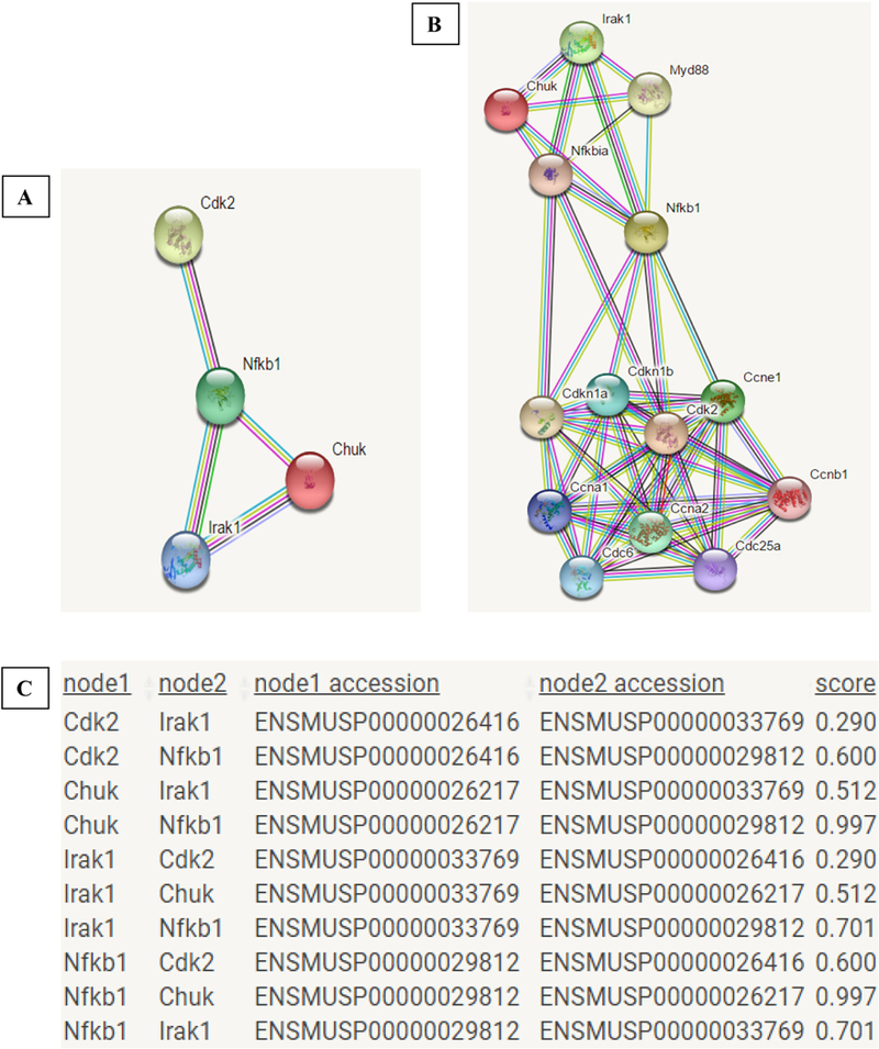 Figure 6: