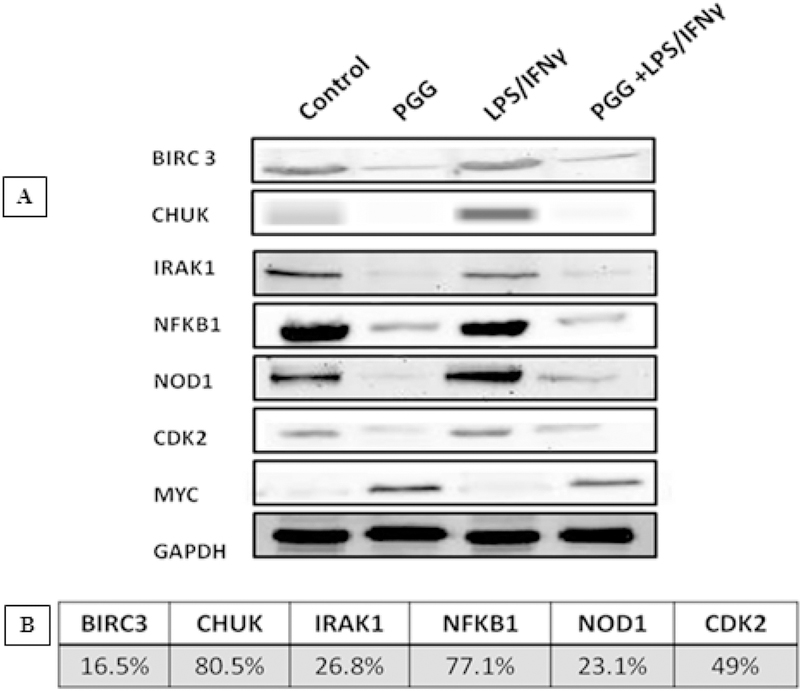 Figure 4: