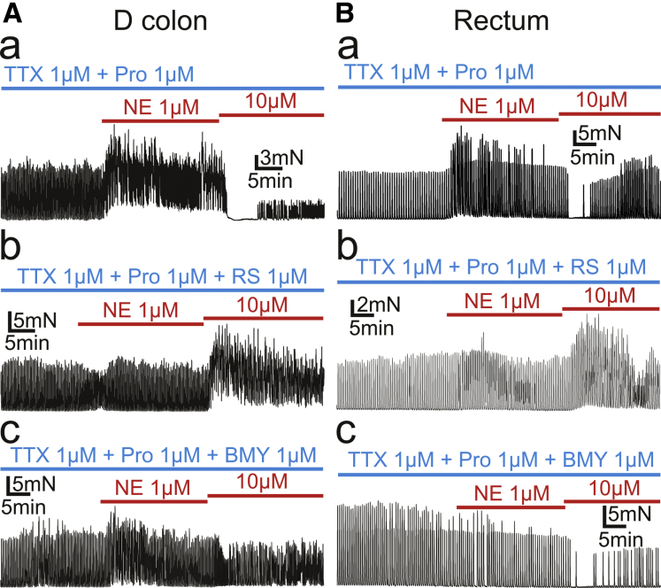 Figure 5