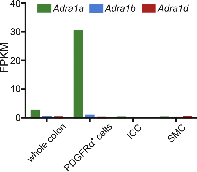 Figure 1