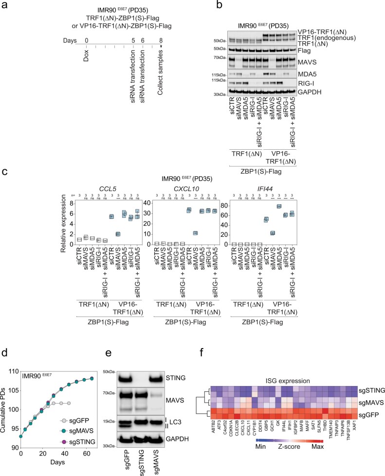 Extended Data Fig. 12