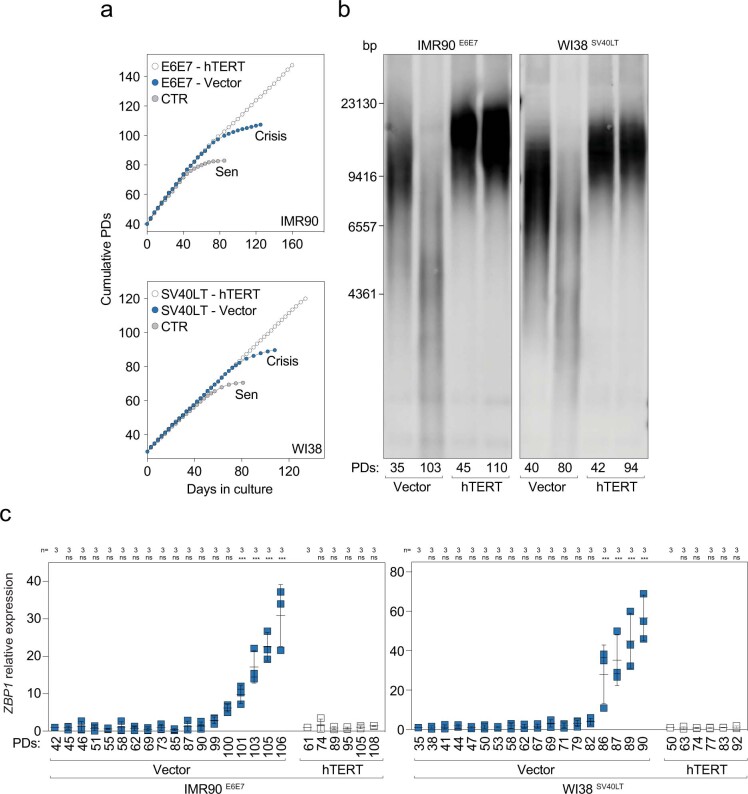 Extended Data Fig. 7