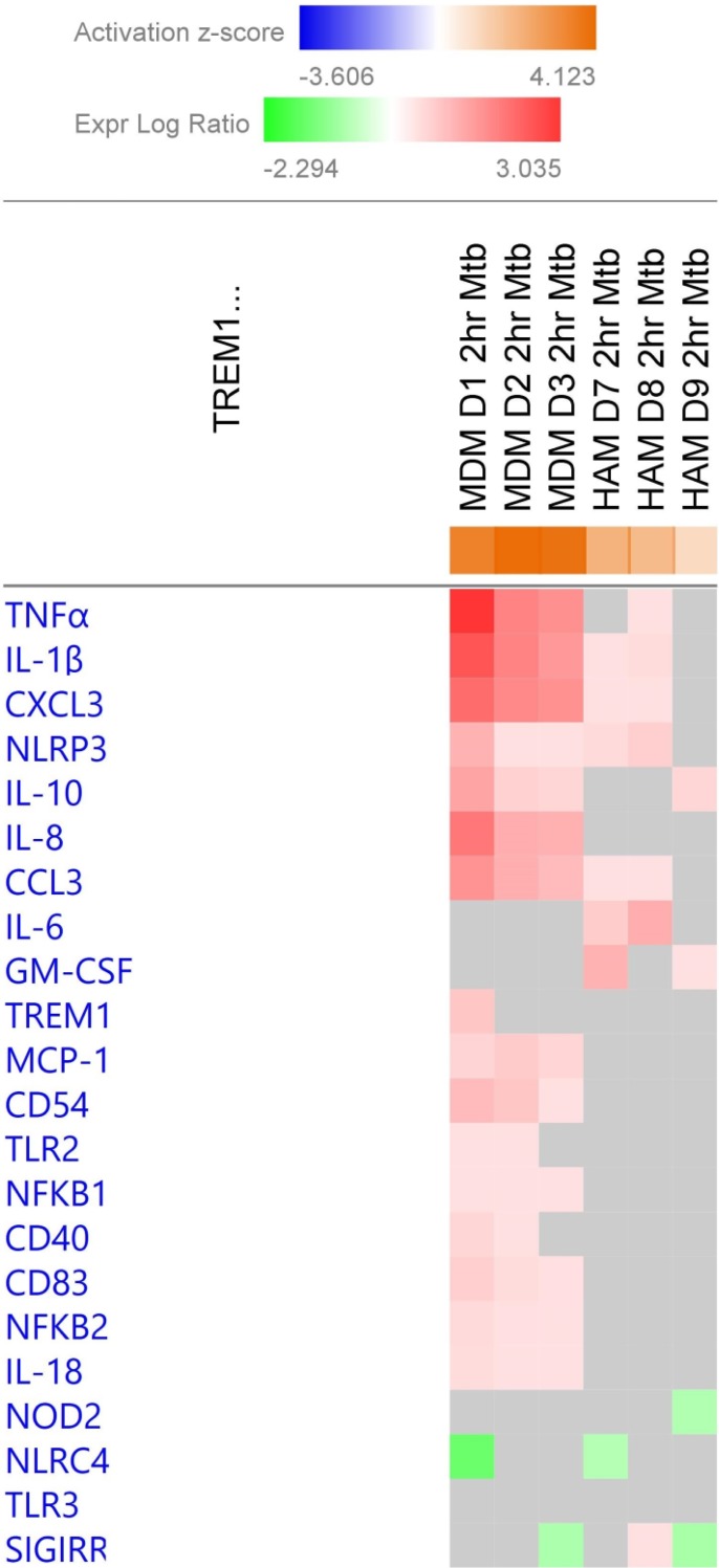 Fig 6