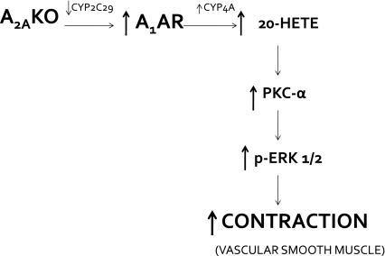 Fig. 9.