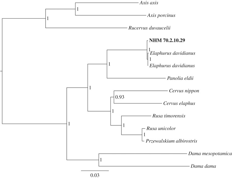 Figure 3.