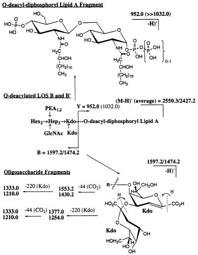 FIG. 5