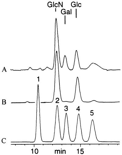 FIG. 6