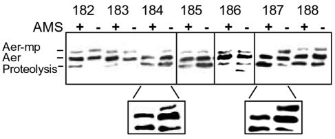 FIG. 5.