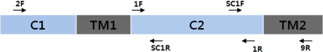 Fig. 1