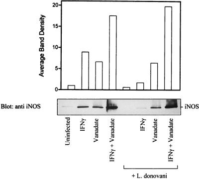 FIG. 7