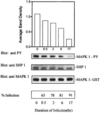 FIG. 9