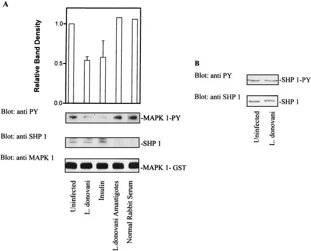 FIG. 8