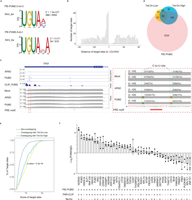 Pie-seq: Identifying Rna-binding Protein Targets By Dual Rna-deaminase 