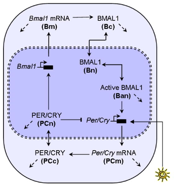 Fig. 1