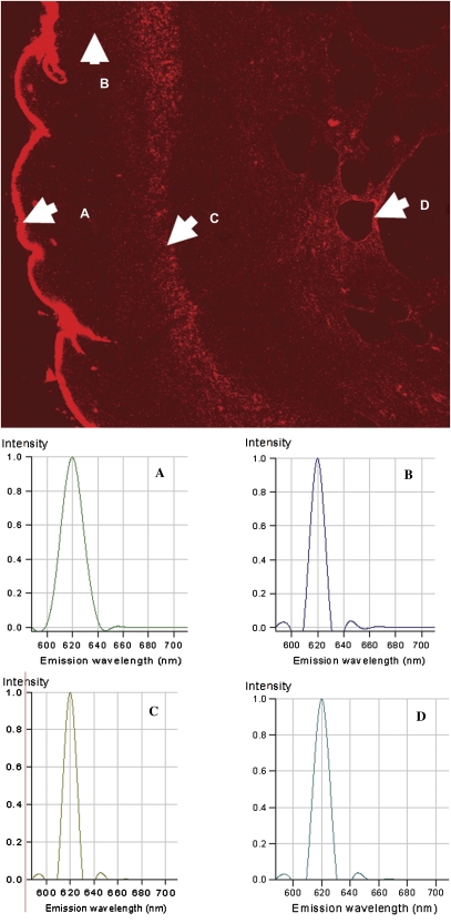 FIG. 7.