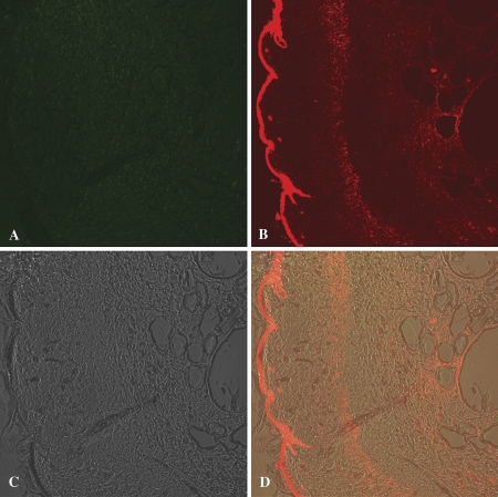 FIG. 6.