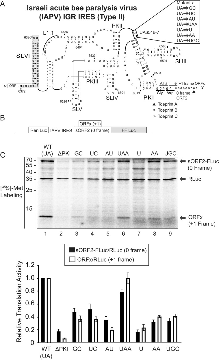 FIG 1