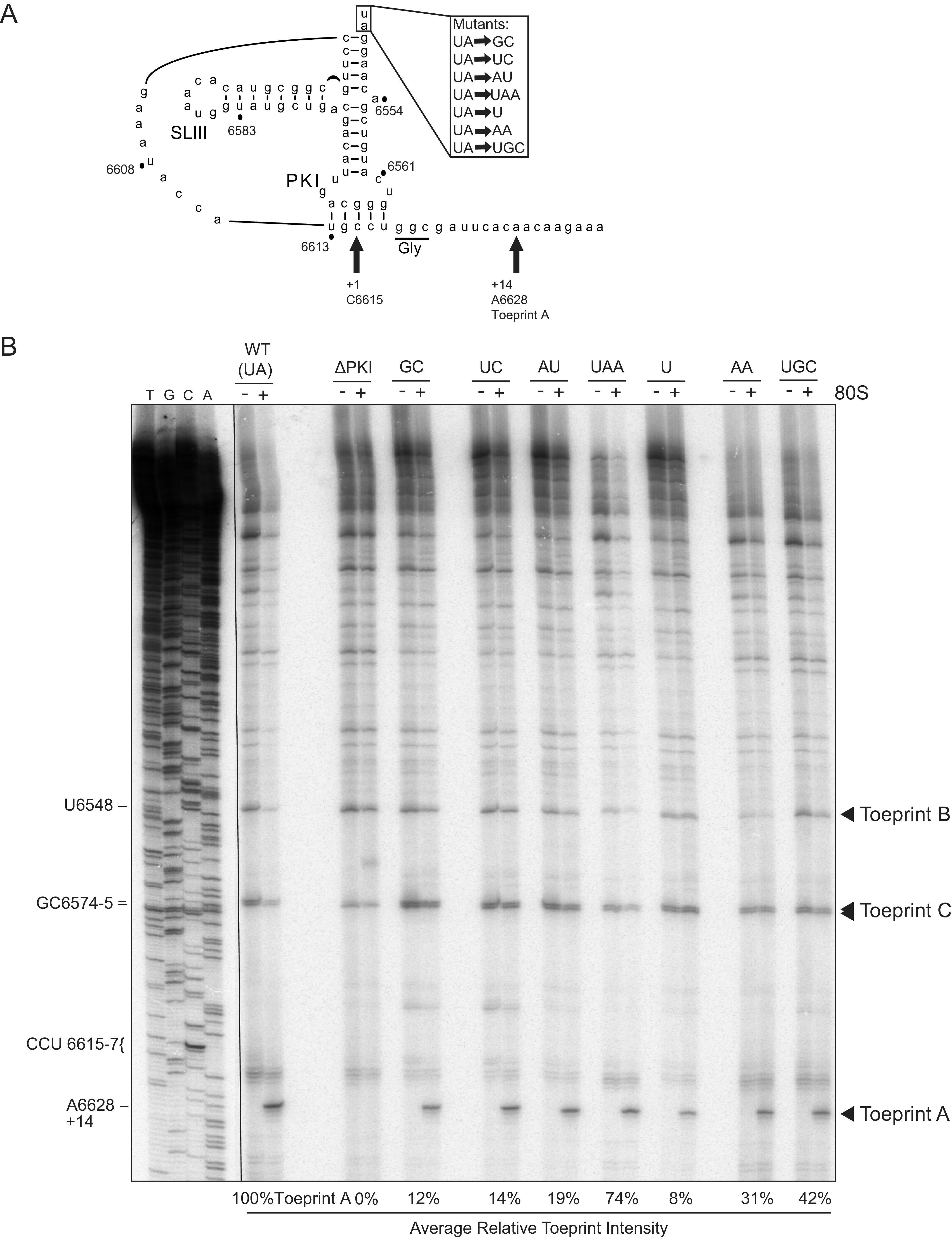 FIG 2