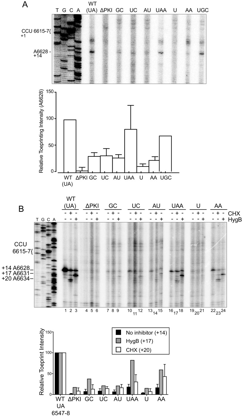 FIG 5