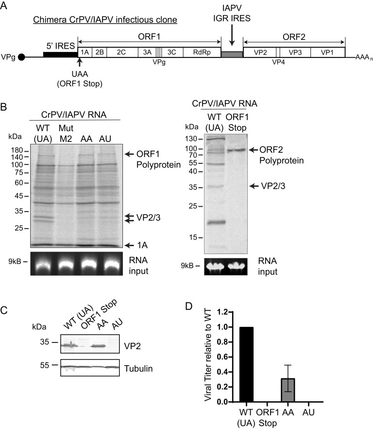 FIG 9