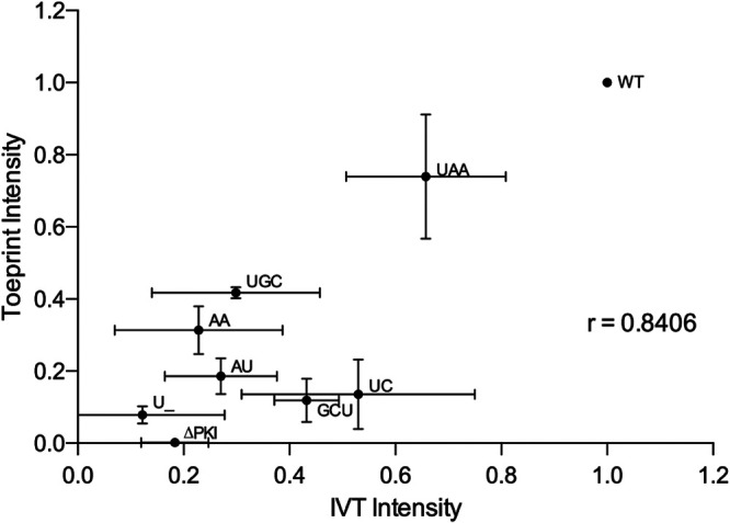 FIG 6