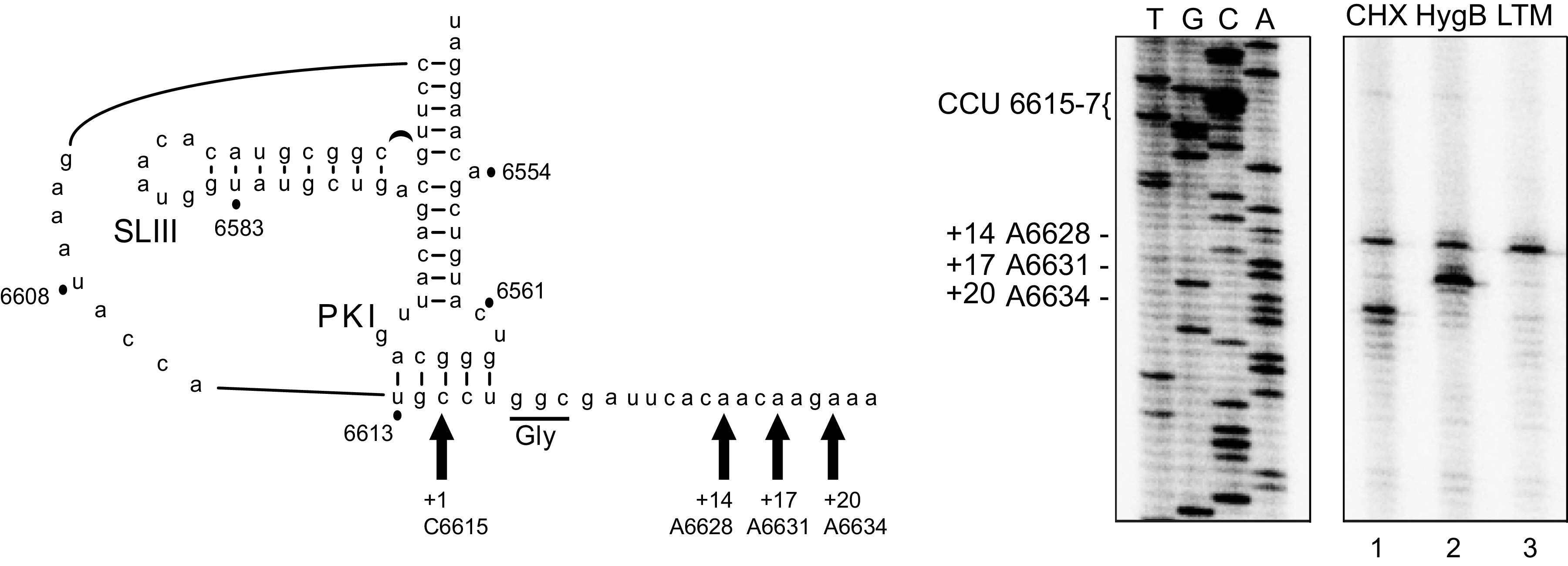 FIG 4