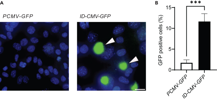 Figure 2