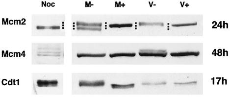 FIG. 5.