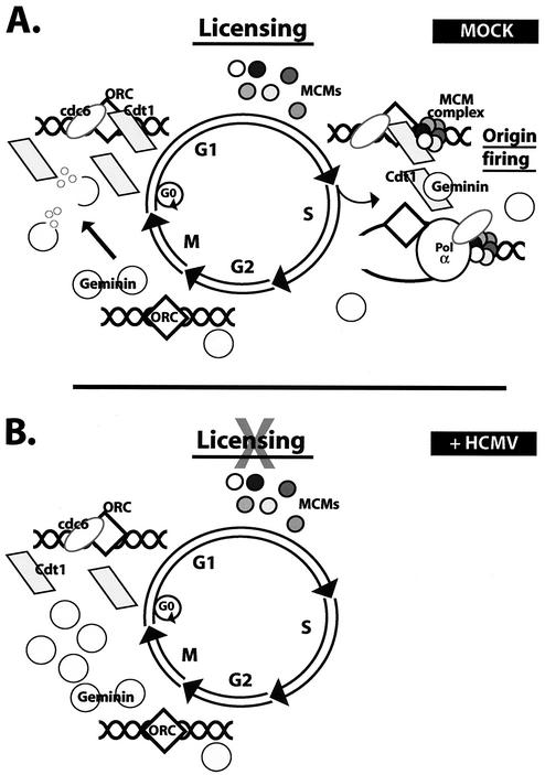 FIG. 6.