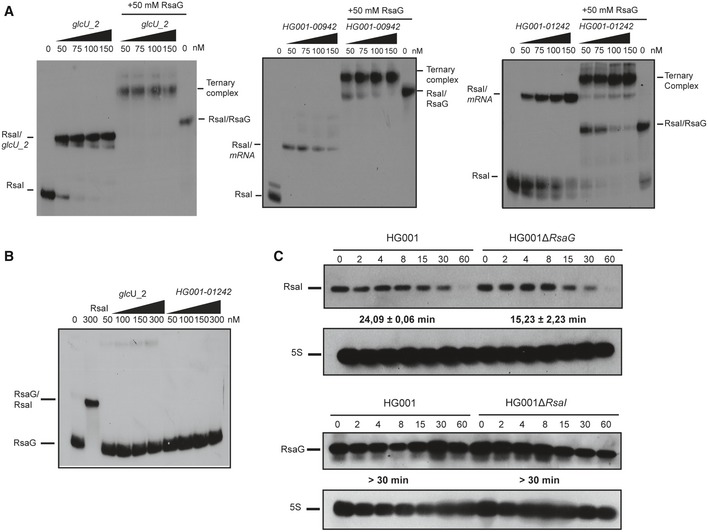 Figure 5