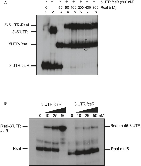 Figure EV3