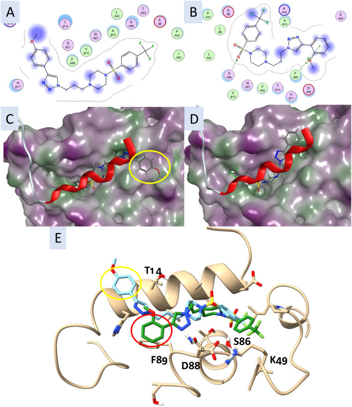 Fig. 6