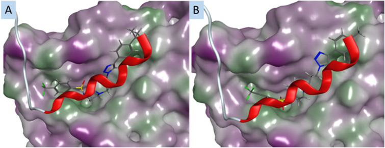 Fig. 5