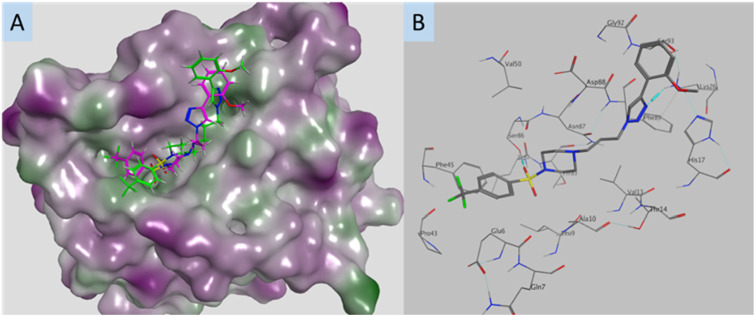 Fig. 7