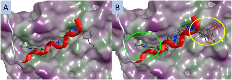 Fig. 2