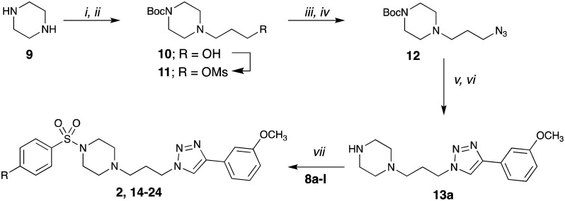 Scheme 1