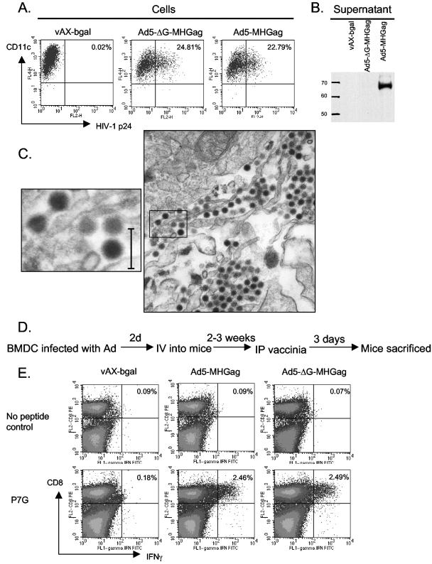 FIG. 4.