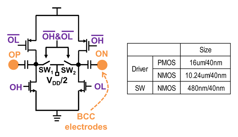 Fig. 12