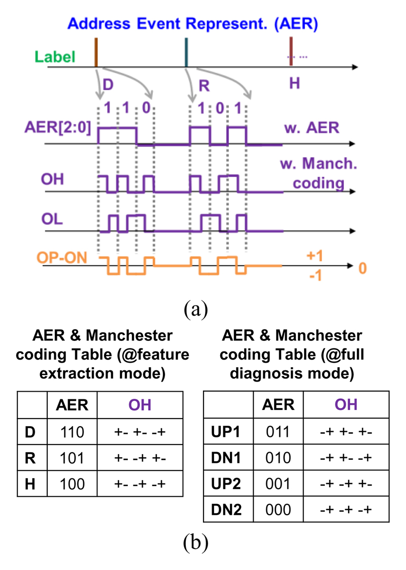 Fig. 13