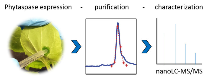 graphic file with name BioProtoc-13-03-4608-ga001.jpg