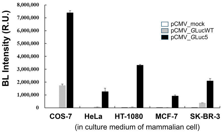 Figure 5