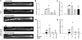 Fig. 10.